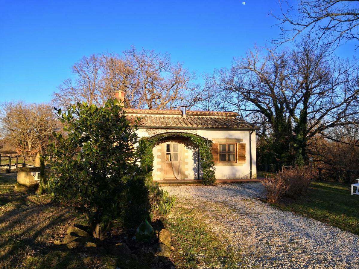 Maremma Country Chic Le Ginestre Villa Sovana Esterno foto