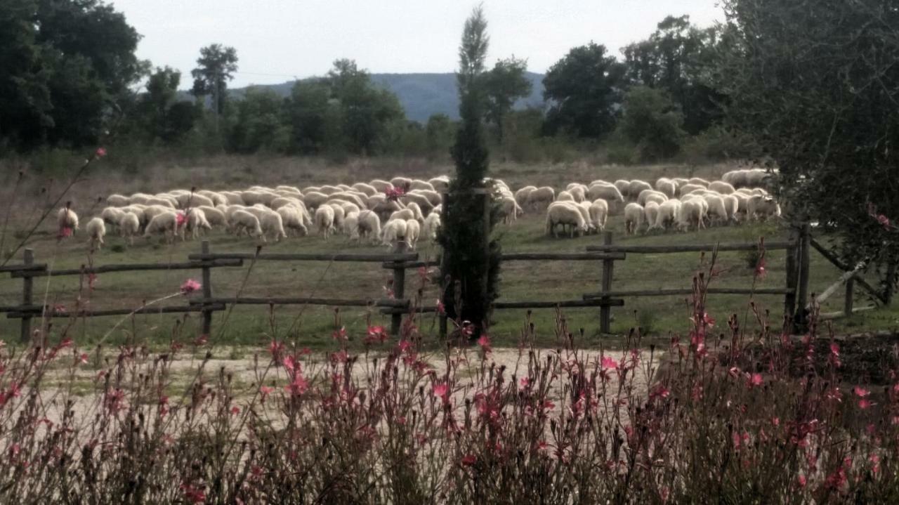 Maremma Country Chic Le Ginestre Villa Sovana Esterno foto