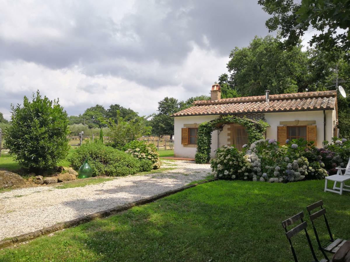 Maremma Country Chic Le Ginestre Villa Sovana Esterno foto